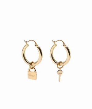 Chunky Hoop Earrings